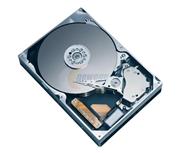 Western Digital Caviar SE WD1600AAJS 160GB 7200 RPM SATA 3.0Gb/s Hard Drive - OEM